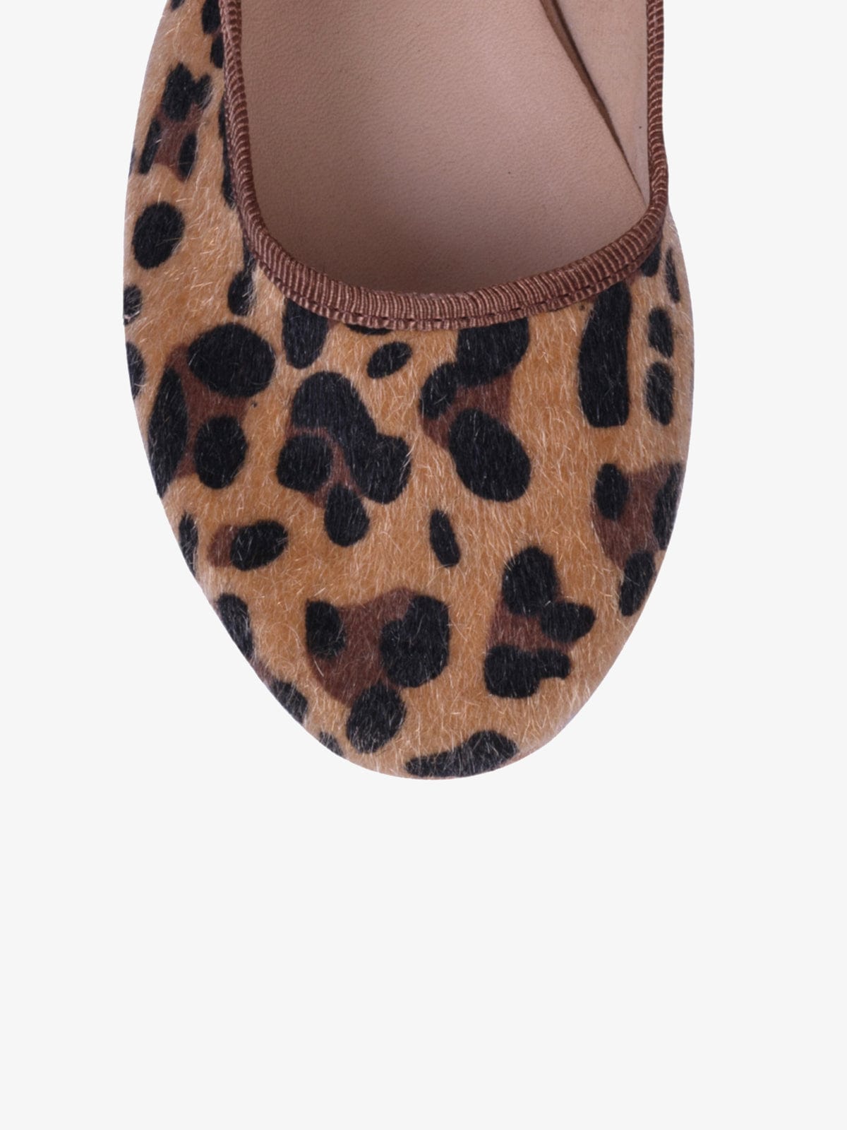 color:LEOPARD